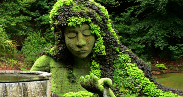 Practicing Partnership with the Earth: webinar August 23