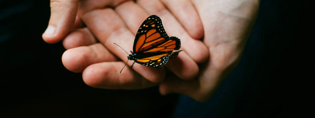 Partnership or Domination – Whispers from the Past and a Way Forward
