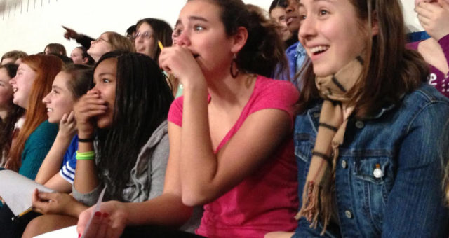 Partnership Sisterhood in Schools