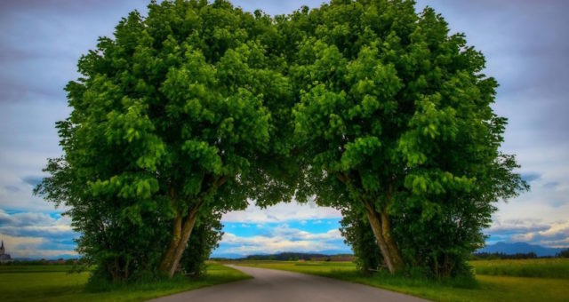 Webinar May 16: Partnership Negotiation